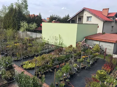 Centrum ogrodnicze Garden-mix Szymon Potyrała